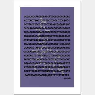 Oxytocin Gene Sequence Posters and Art